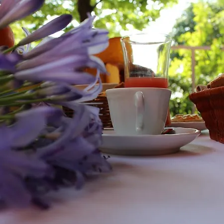 호텔 Antica Locanda Il Sole 카스텔마조레