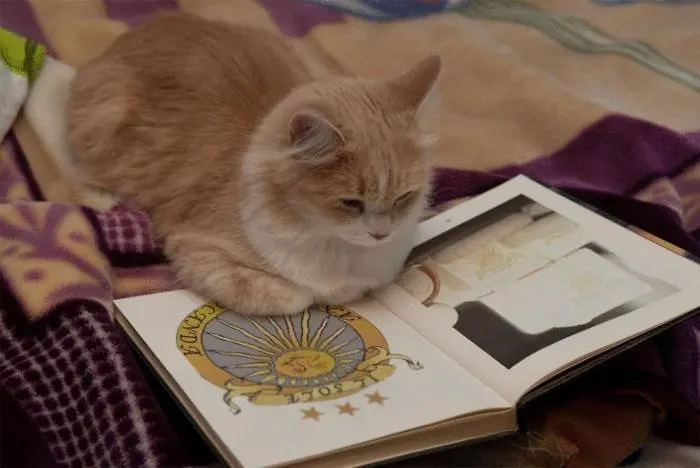 Hotel Antica Il Sole Castel Maggiore